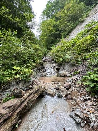滝ノ沢の登路。岩がなめらかな一枚岩状になった沢を登る