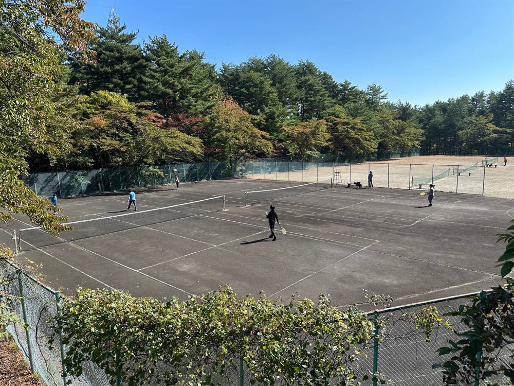 松林に囲まれたテニスコートでプレーする人たち