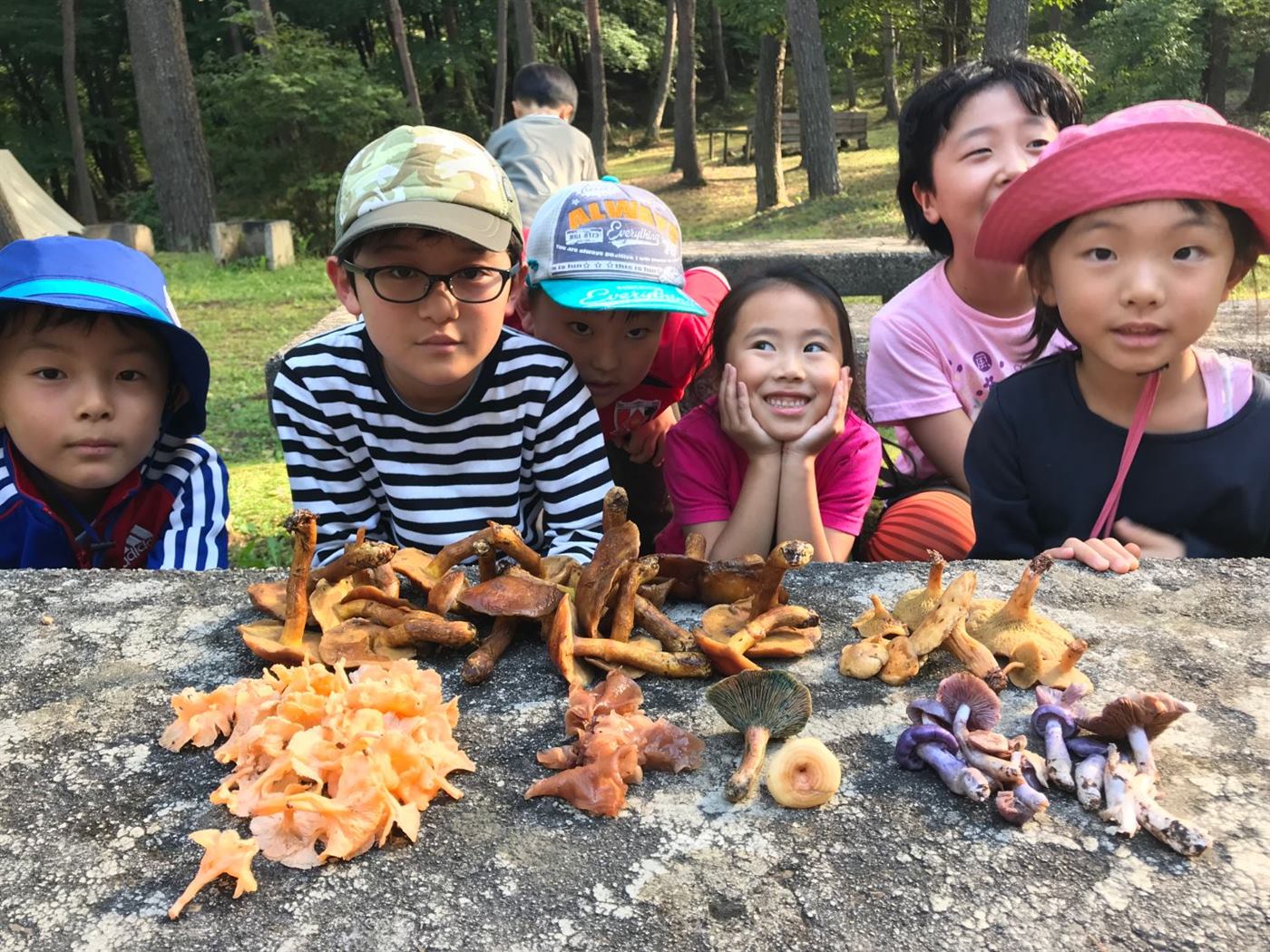 採ったキノコを並べて見せてくれる子どもたち
