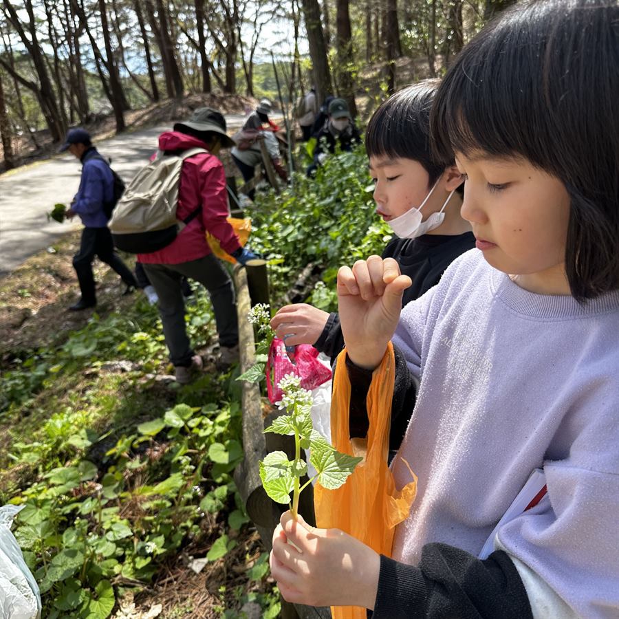林道わきで山菜を手にとって観察する子どもたち